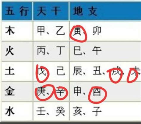 查名字五行